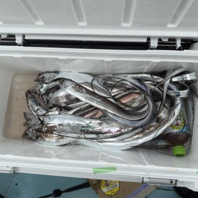 image1_2.jpeg