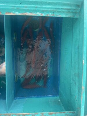 image0_9.jpeg