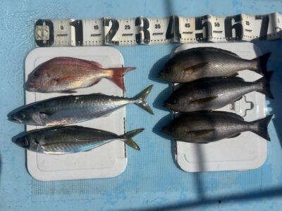 image0_13.jpeg