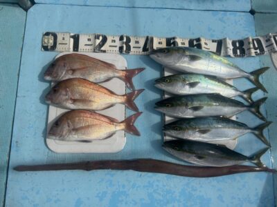 image0_22.jpeg